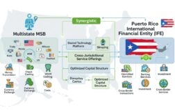 Combining Puerto Rico's IFE with a Multistate MSB Image