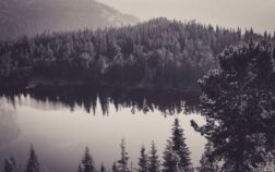 Picsum ID: 412